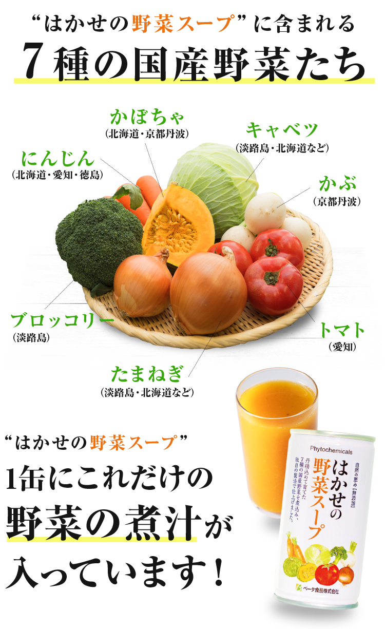 はかせの野菜スープ”に含まれる７種の国産野菜たち