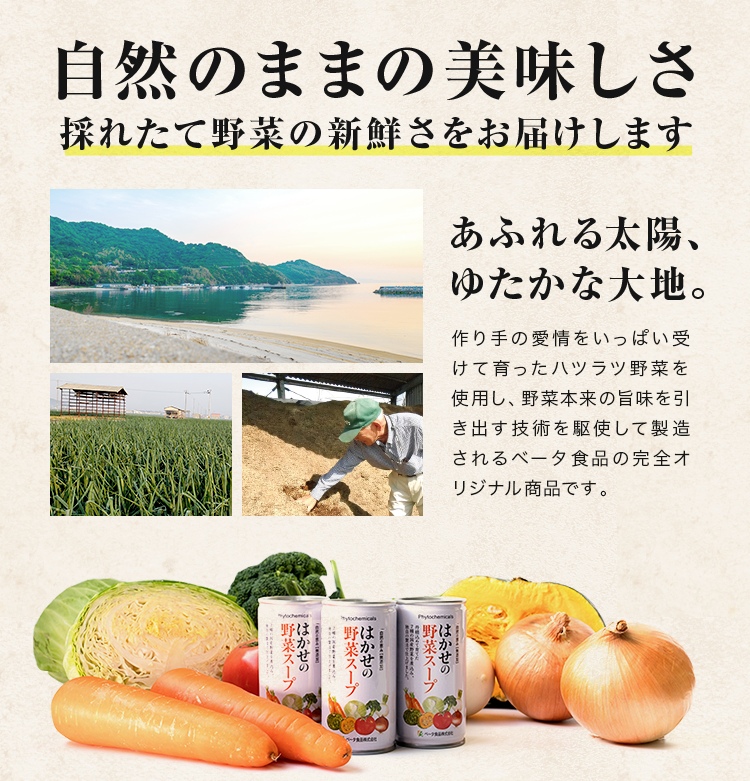 自然のままの美味しさ採れたて野菜の新鮮さをお届けします